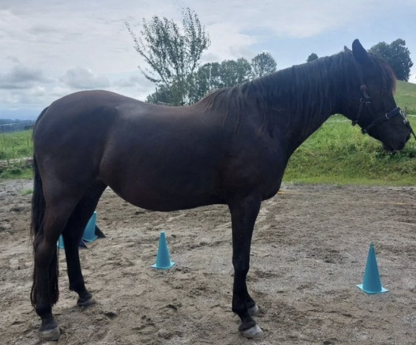 Onyx nachher