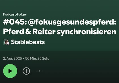 Podcast-Folge #045 bei Stablebeats