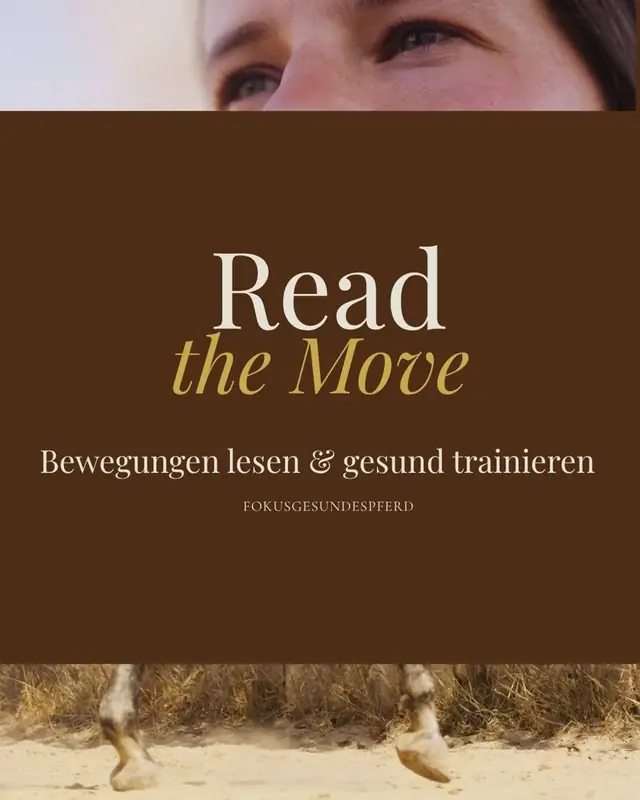 Kurs-Cover „Read the Move – Bewegungen lesen & gesund trainieren“