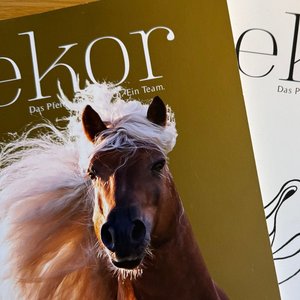 Zwei Ausgaben des Ekor Magazins